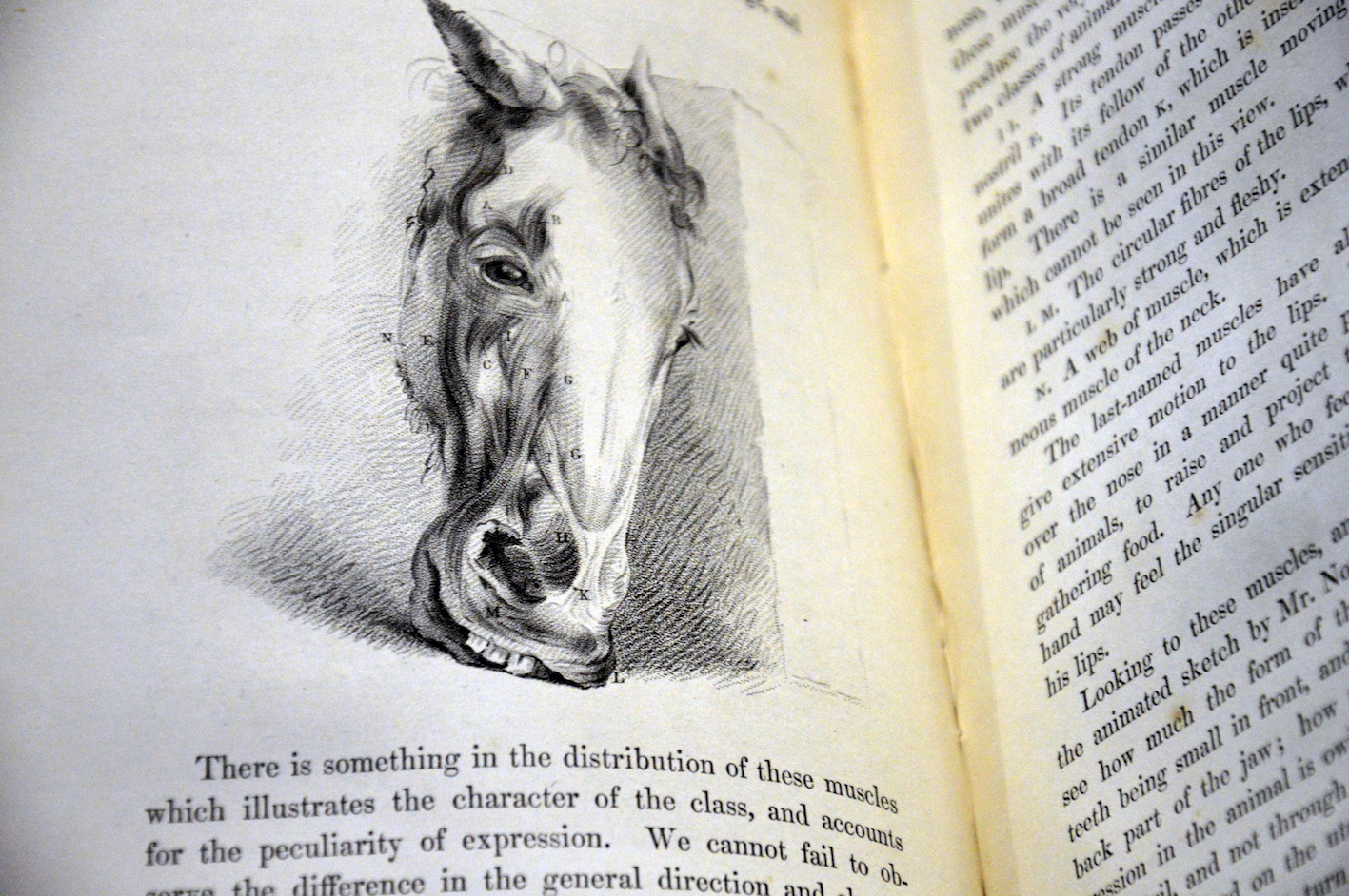 "Charles Bell, The anatomy and philosophy of expression as connected with the fine arts."