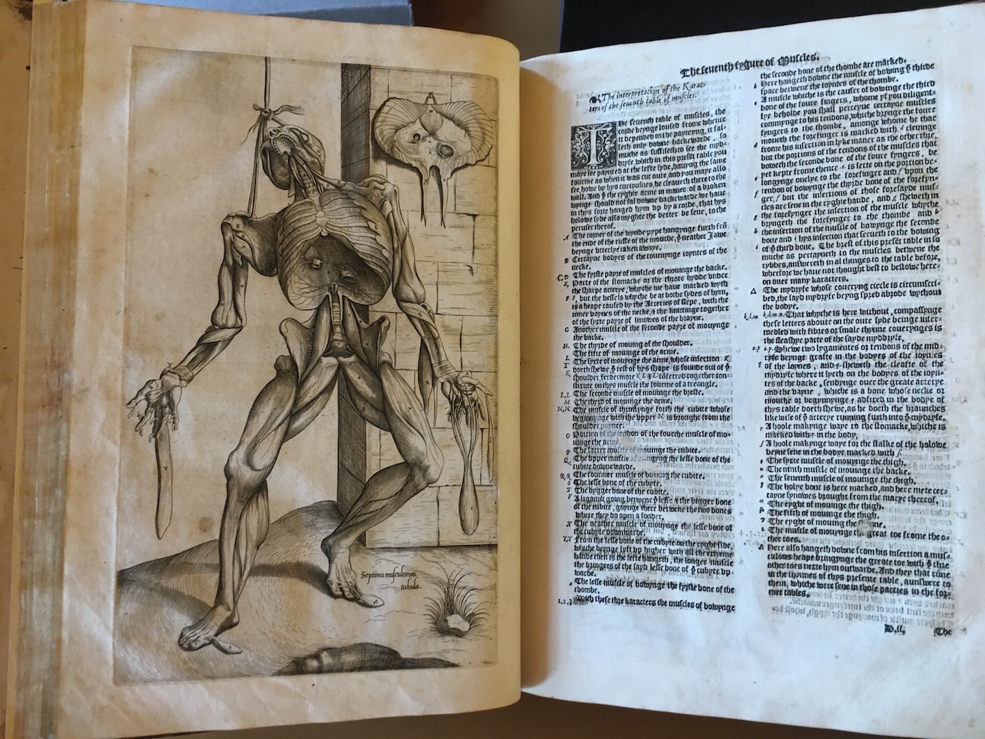 T. Geminus, <i>Compendiosa totius anatomie delineatio</i> (London 1553).