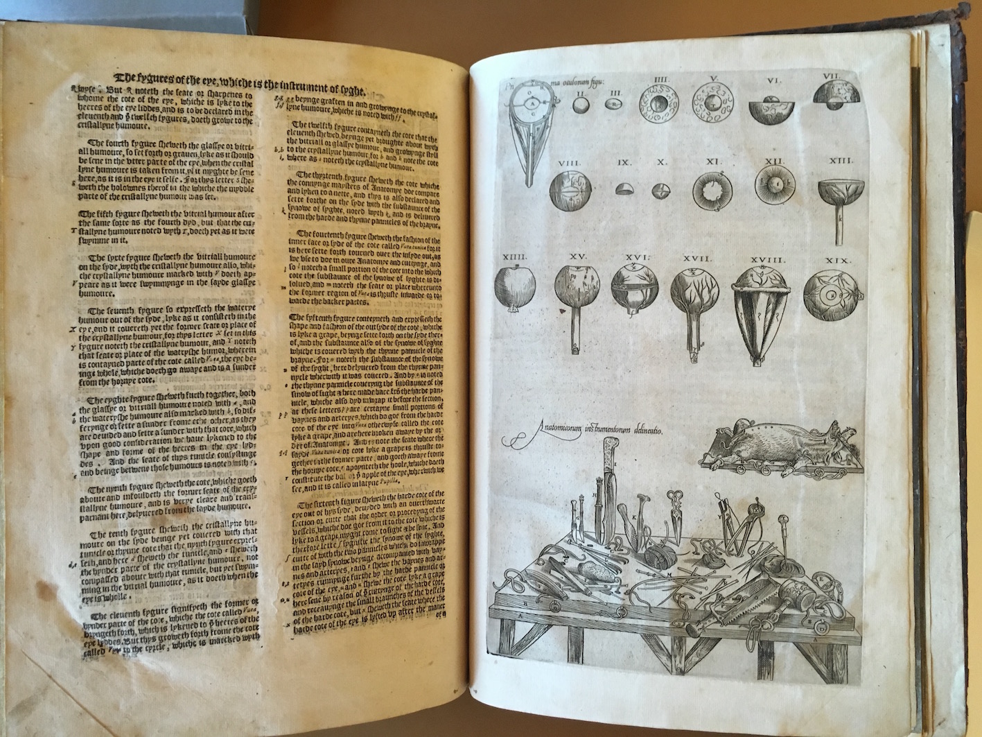 T. Geminus, <i>Compendiosa totius anatomie delineatio</i> (London 1553).