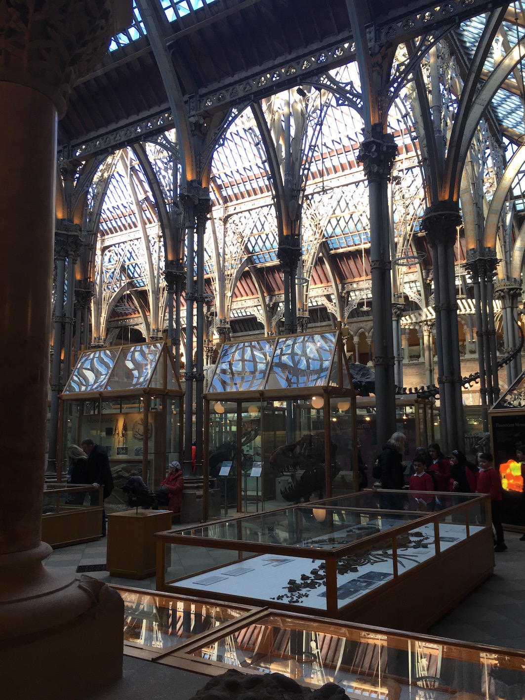 General view of the Oxford University Museum of Natural History.