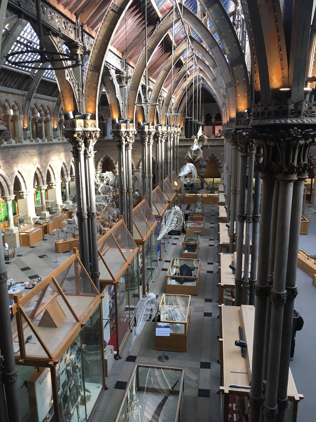 General view of the Oxford University Museum of Natural History.