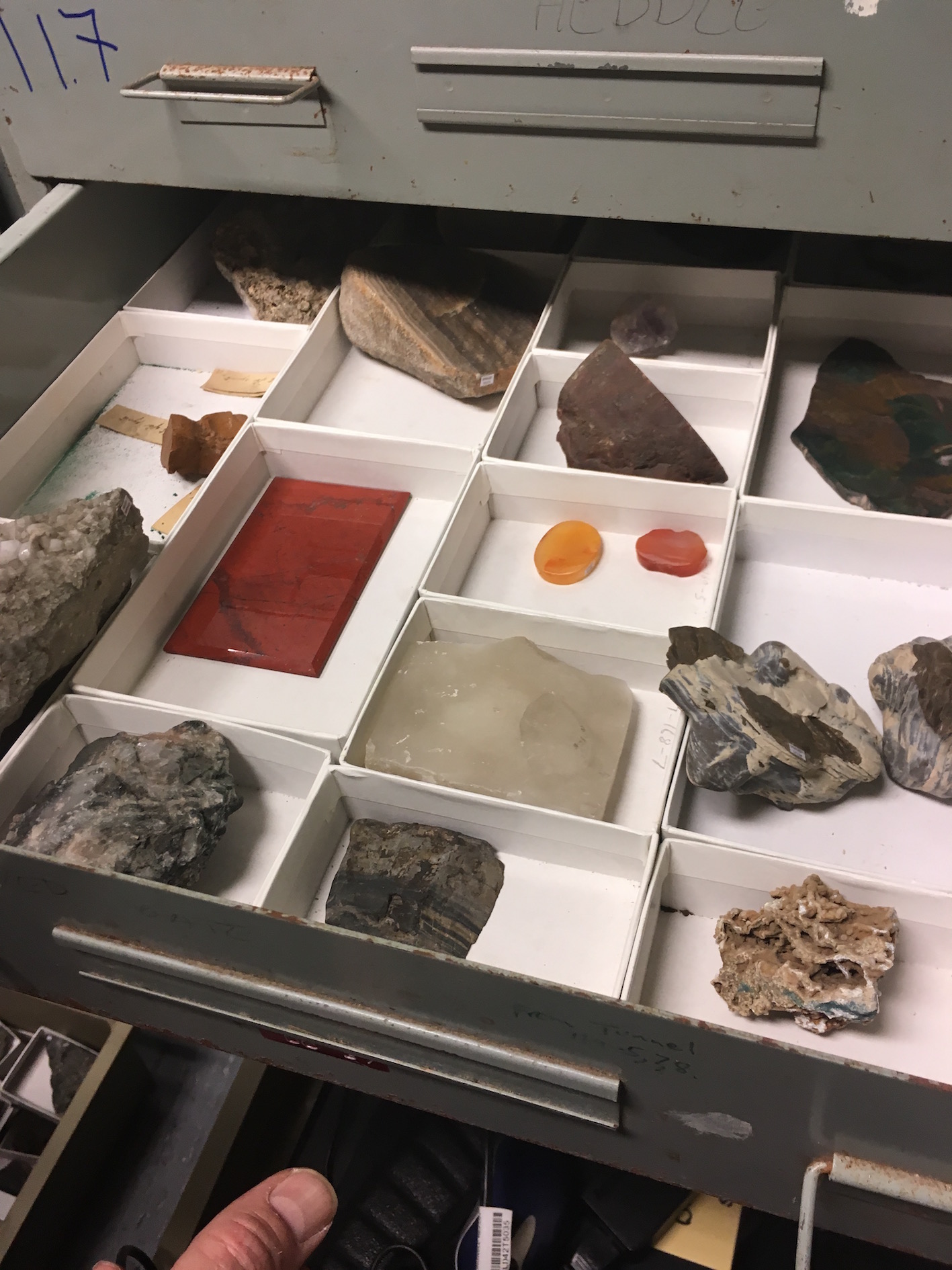 "Inspecting drawers and boxes in the School of Earth and Environmental Sciences."