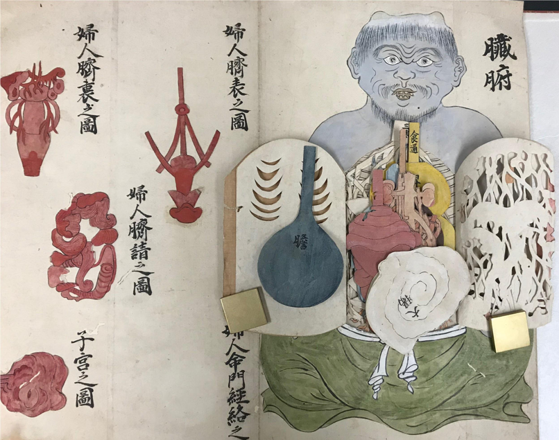 "Page from Japanese flap anatomy showing the anatomy of a blue demon at right with several organs exposed, including the large intestine and heart."