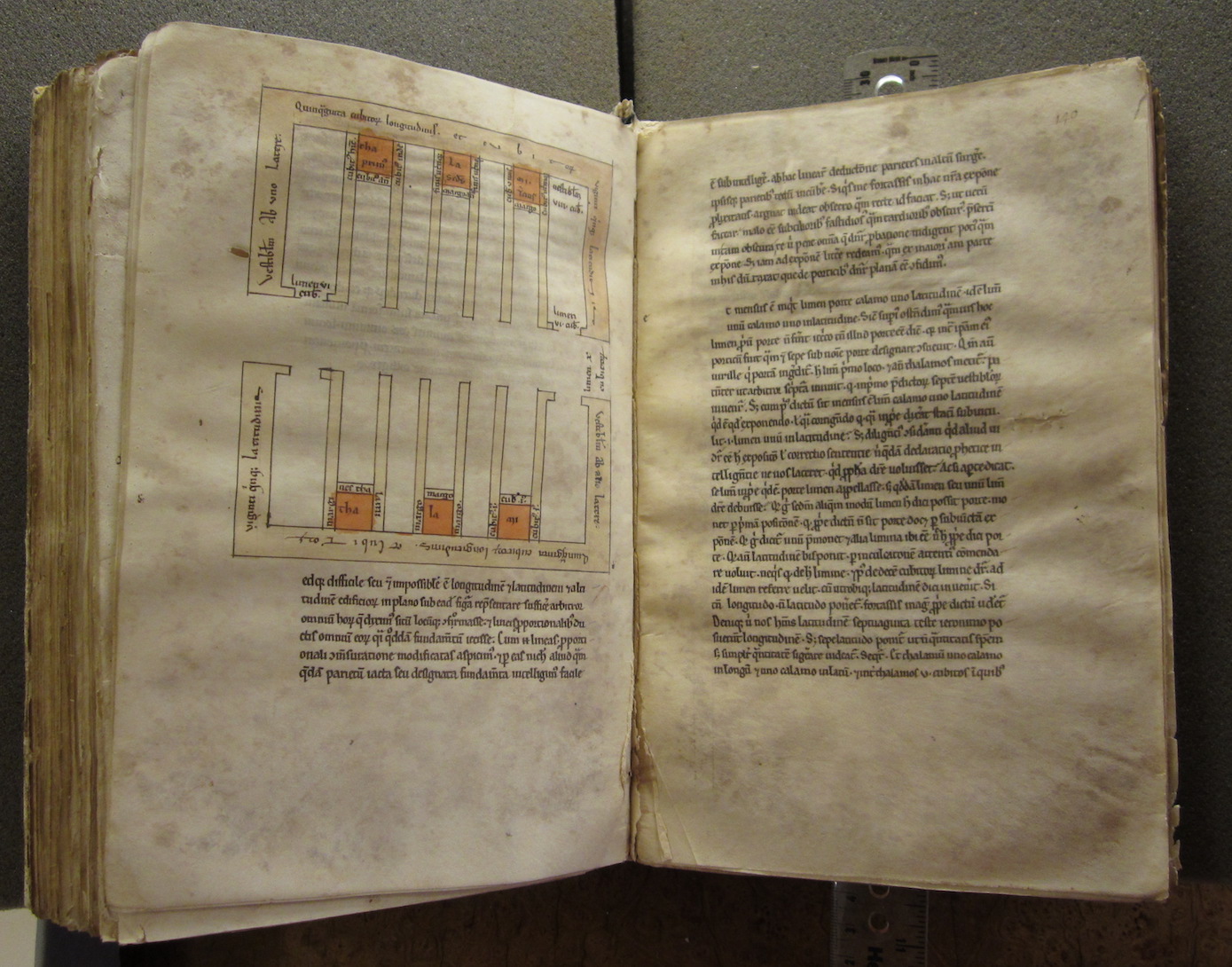 "Oxford, Bodleian Libraries, MS Bodley 494"