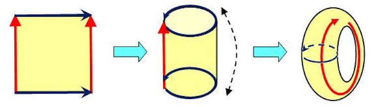 "Figure 4. Gluing a torus together."