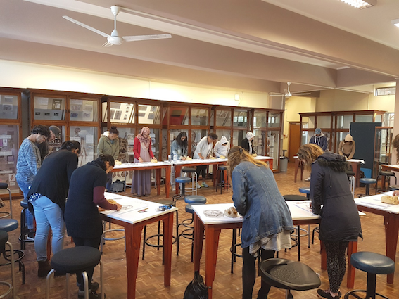 "Anatomy Observation and Drawing, Special Studies Module (SSM) 2017, UCT Department of Human Biology."