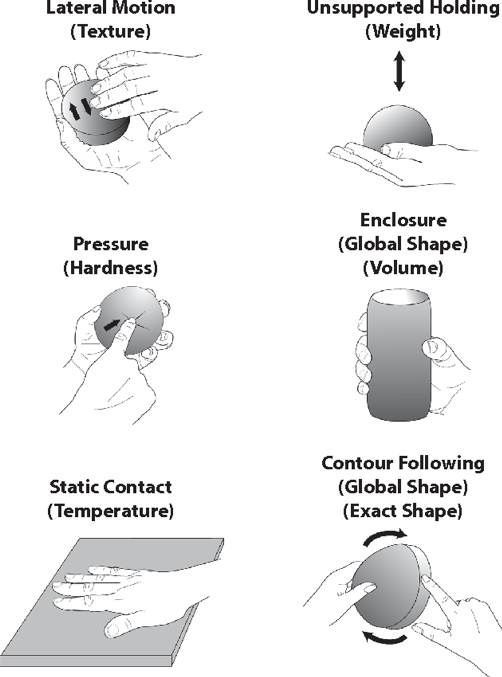 "In 1987, Professors Roberta Klatzky and Susan Lederman identified and named six manual exploratory proceedures (EPs) and their associated object properties."