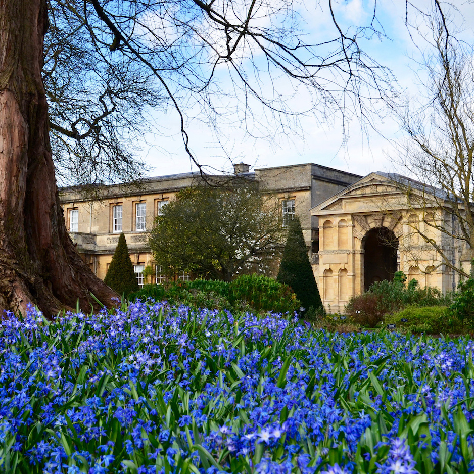 T3D_Exhibition at Oxford Botanic Garden