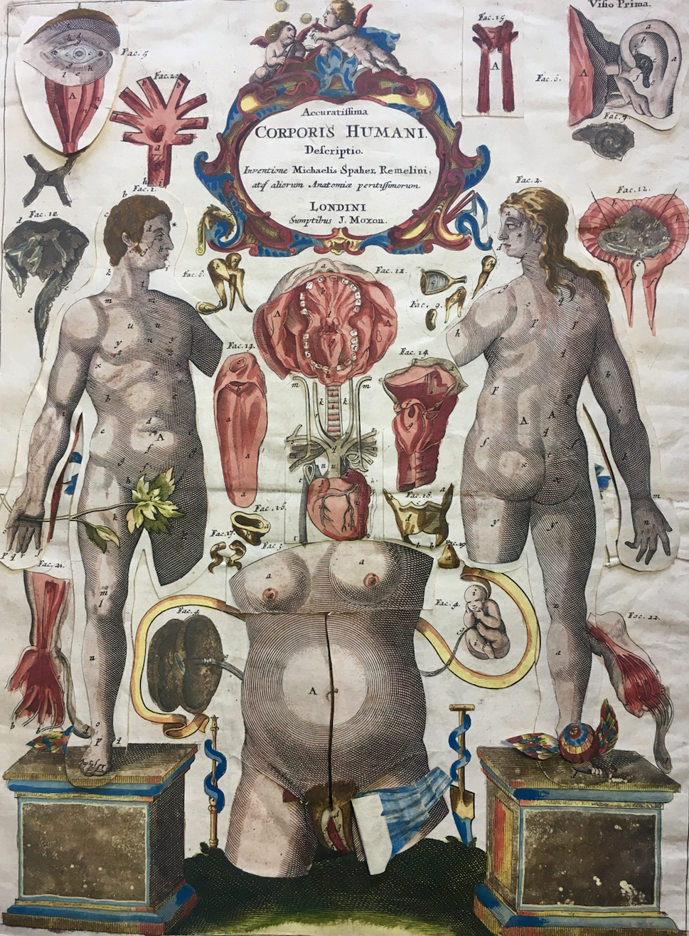 "Visio Prima of a hand-colored copy of the Catoptrum Microcosmicum (1698)"