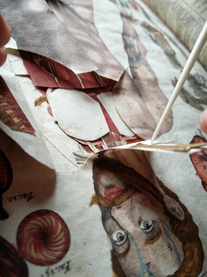 Detail of the neck-layers of *Visio Secunda* of the Magdalen College copy of the *Catoptrum Microcosmicum*