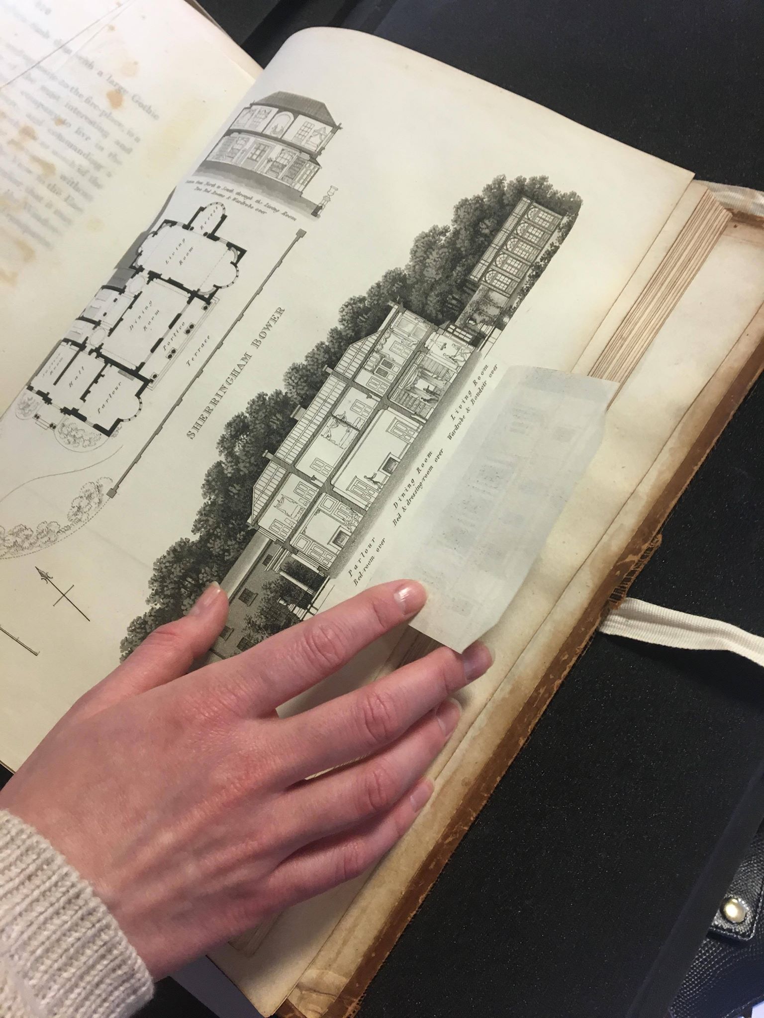 ""Sherringham Bower" on page 212 of  Humphry Repton's Fragments on the Theory and Practice of Landscape Gardening, published 1816. "