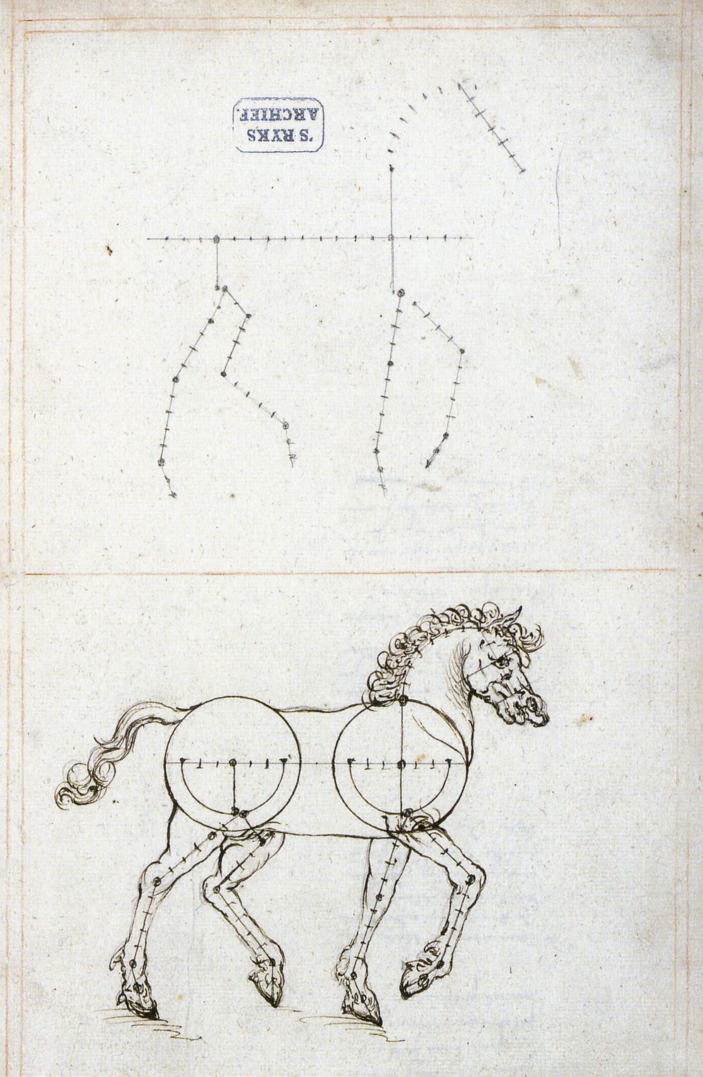"Figure 5. Diagrams of horses, number 135 f. 143v."